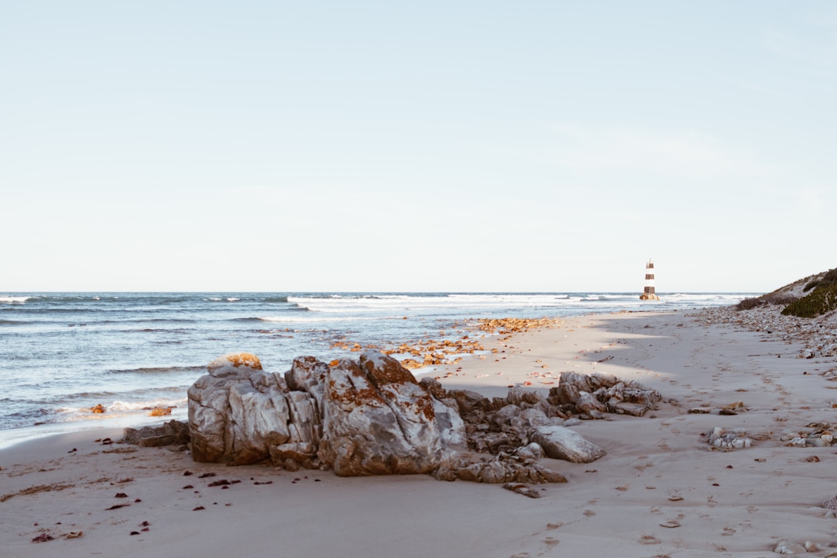 A family day out in Gqeberha — the honest plan