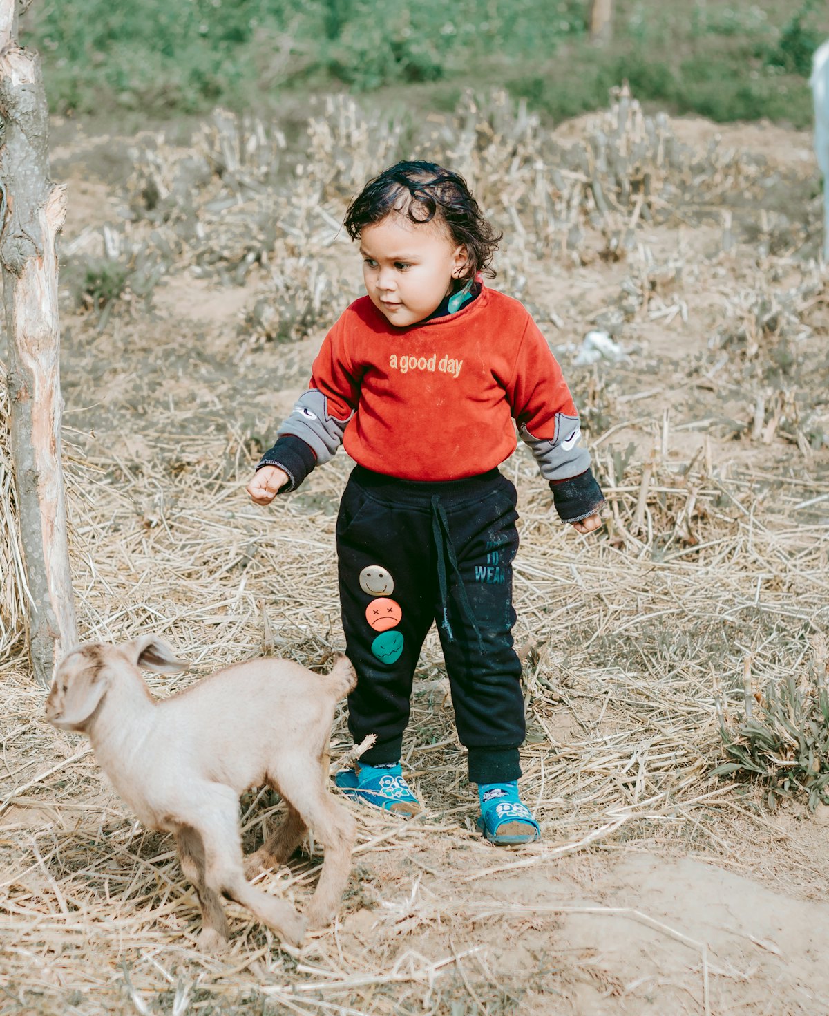 Toddler-friendly farms within an hour of Joburg