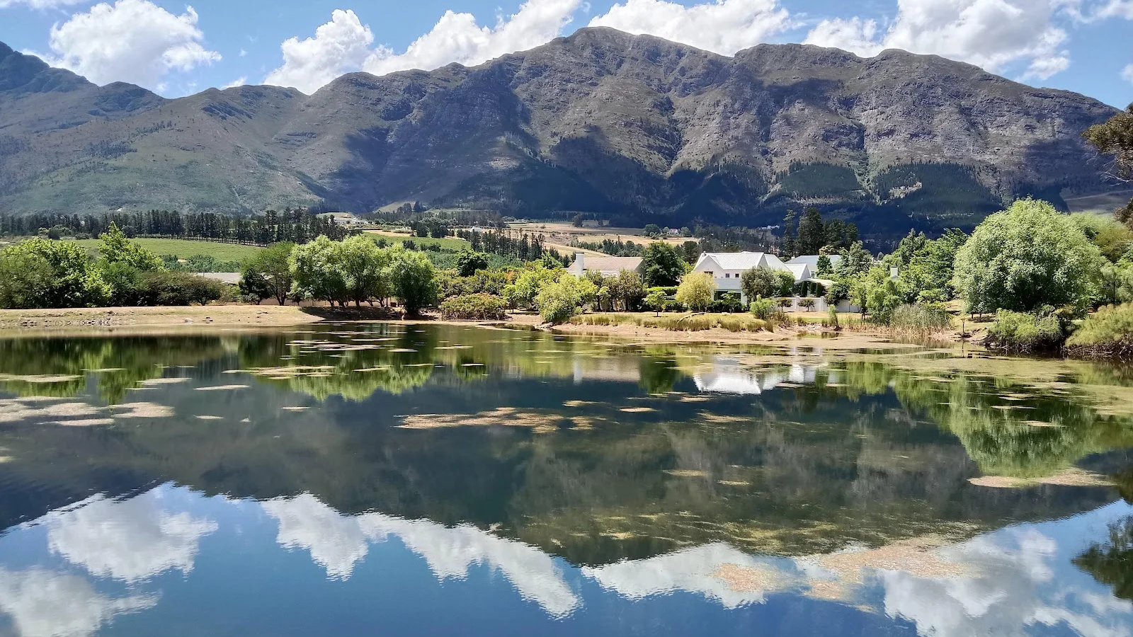 Patrysfontein