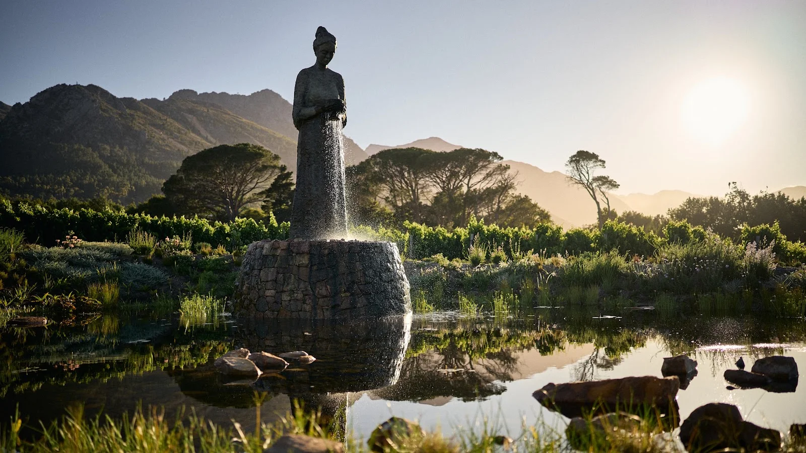 La Motte Wine Farm — kid-friendly restaurant in Franschhoek