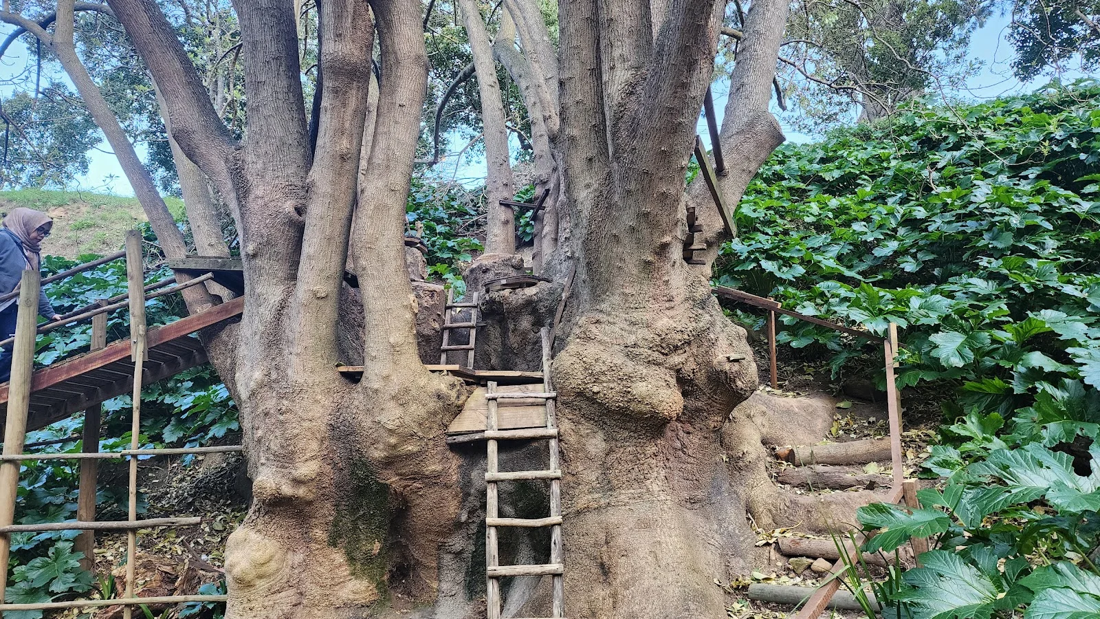 Paradise Park, Newlands — kid-friendly venue in Cape Town
