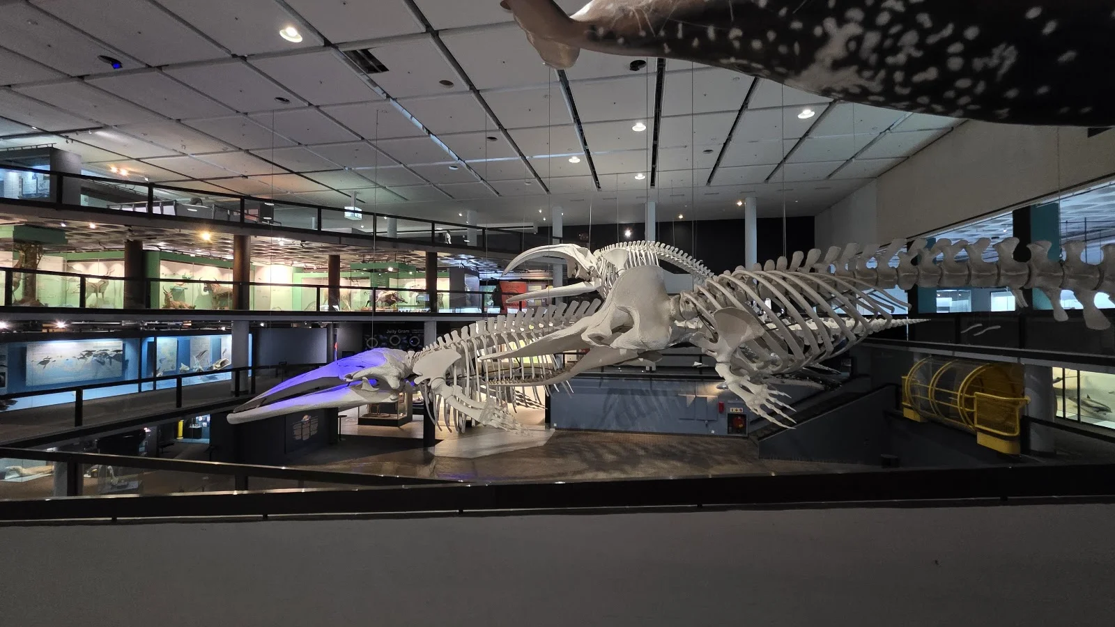 Iziko Planetarium & Digital Dome — kid-friendly venue in Paarl