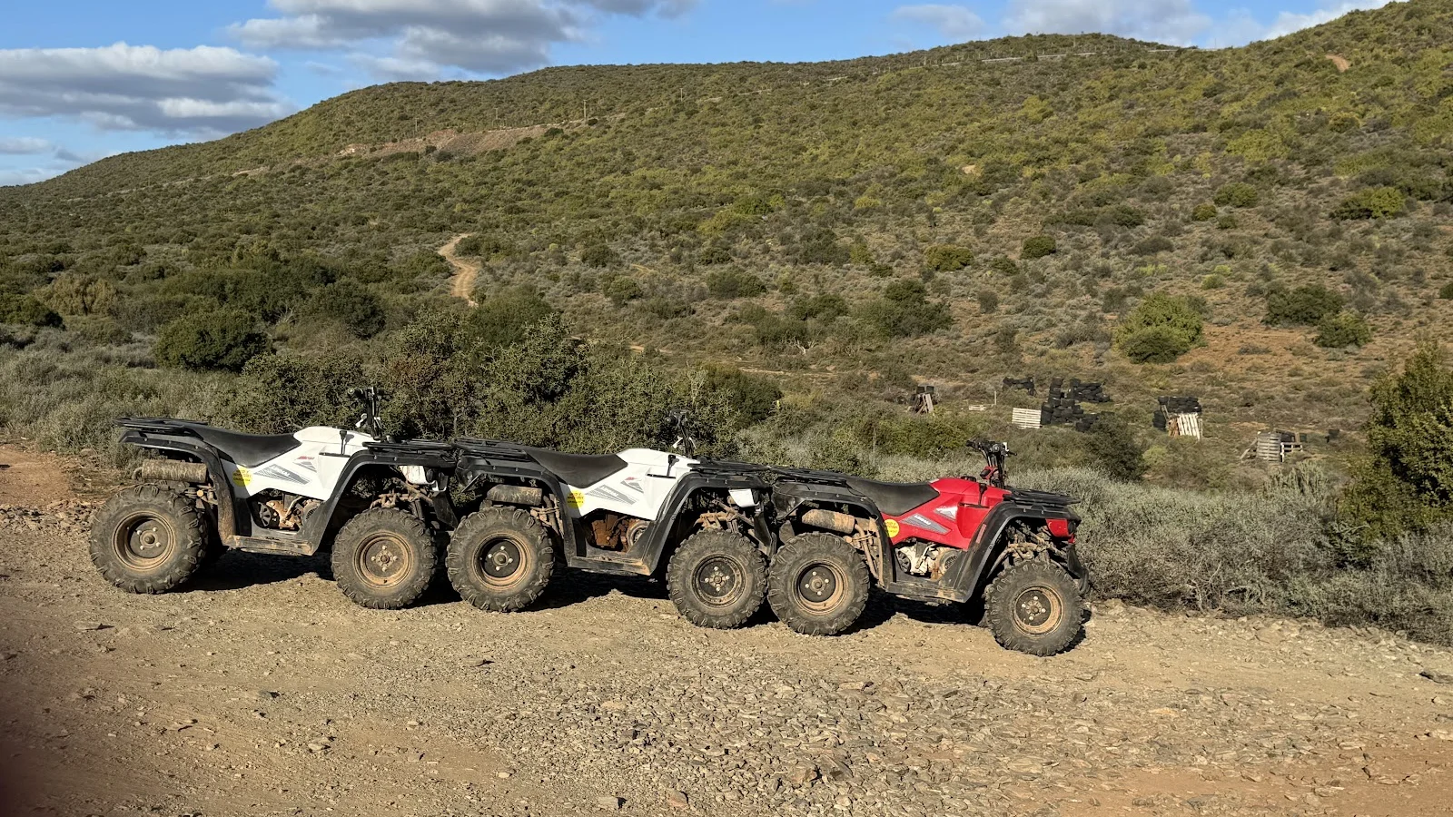WildX Adventures Oudtshoorn