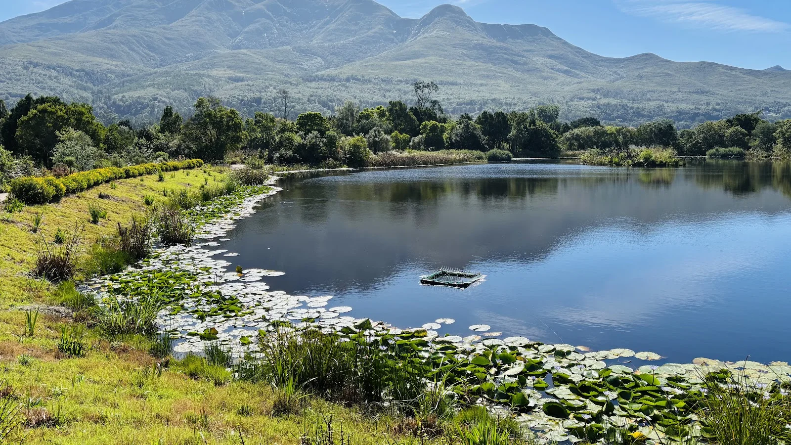 Garden Route Botanical Garden — kid-friendly venue in George