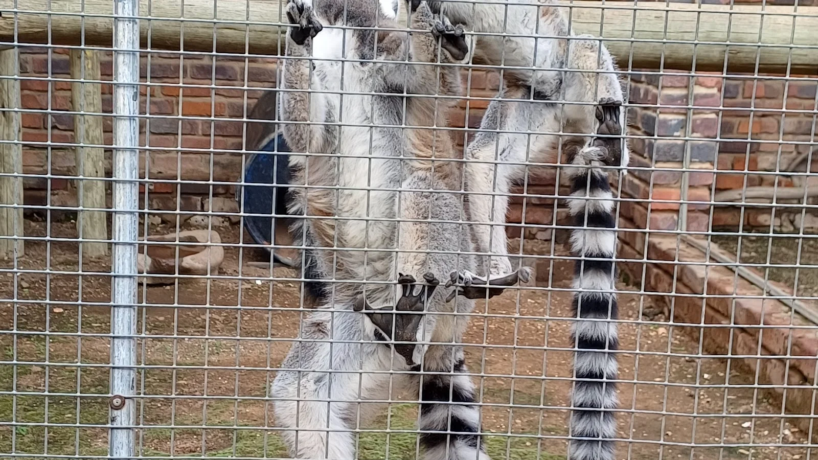 Polokwane Snake & Reptile Park — kid-friendly venue in Polokwane