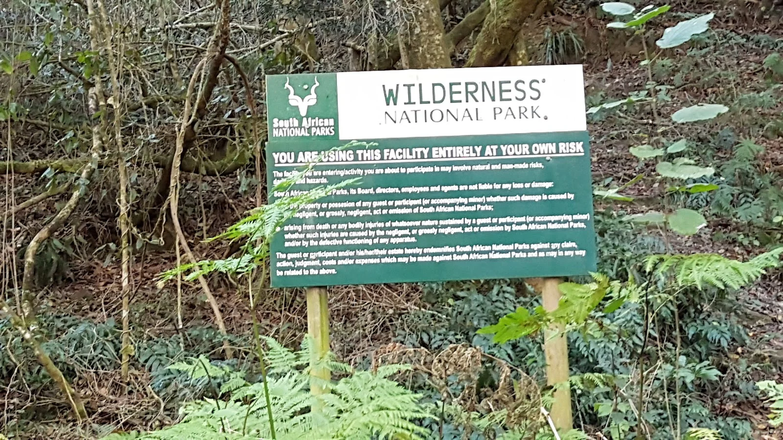 Garden Route National Park - Wilderness Section — kid-friendly venue in Knysna