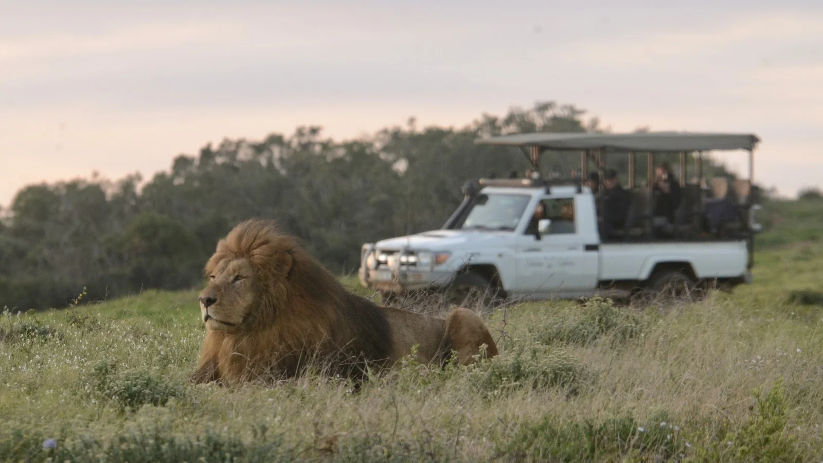 Schotia Safaris Private Game Reserve — kid-friendly venue in Makhanda