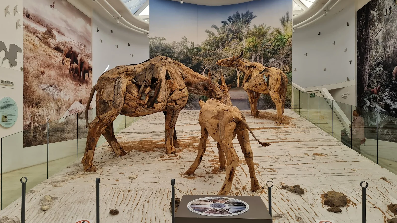 West Coast Fossil Park — kid-friendly venue in George