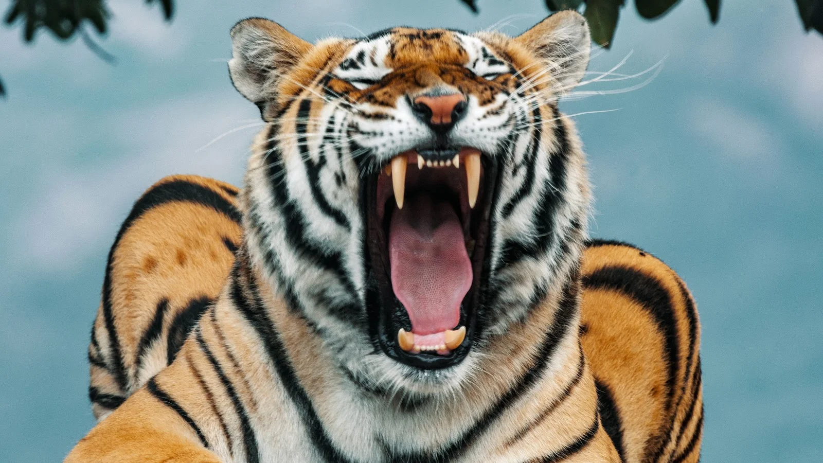 Pumbaa Wildlife Park & Accommodation