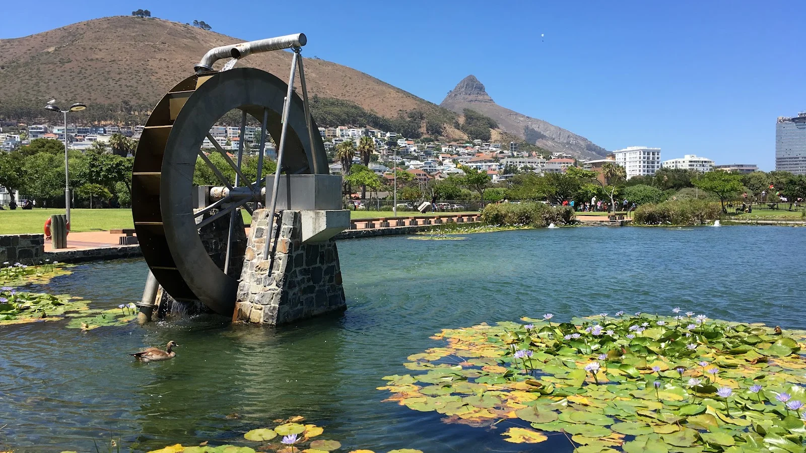 Green Point Park