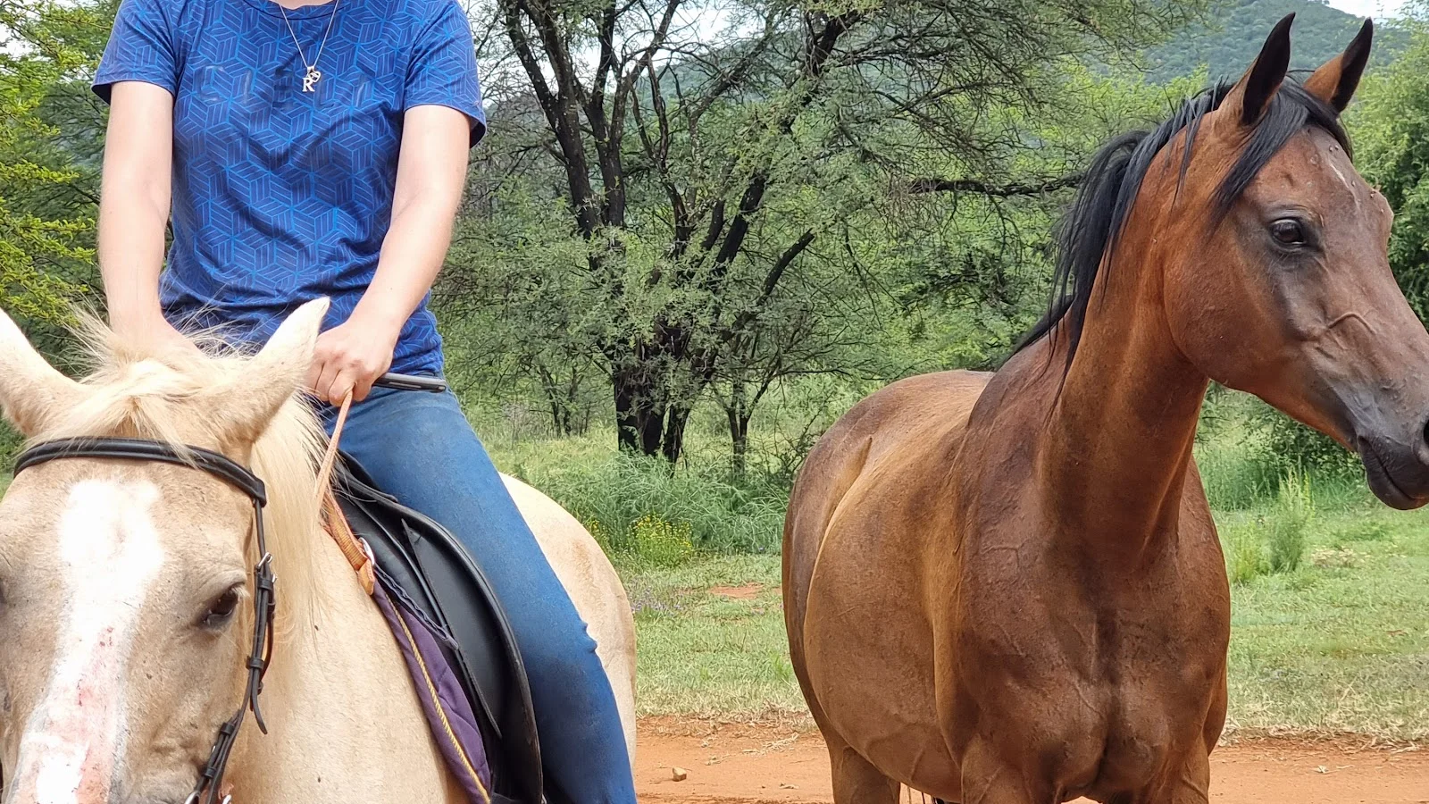 Pasio Life: Koedoeslaagte Horseback — kid-friendly venue in Parys