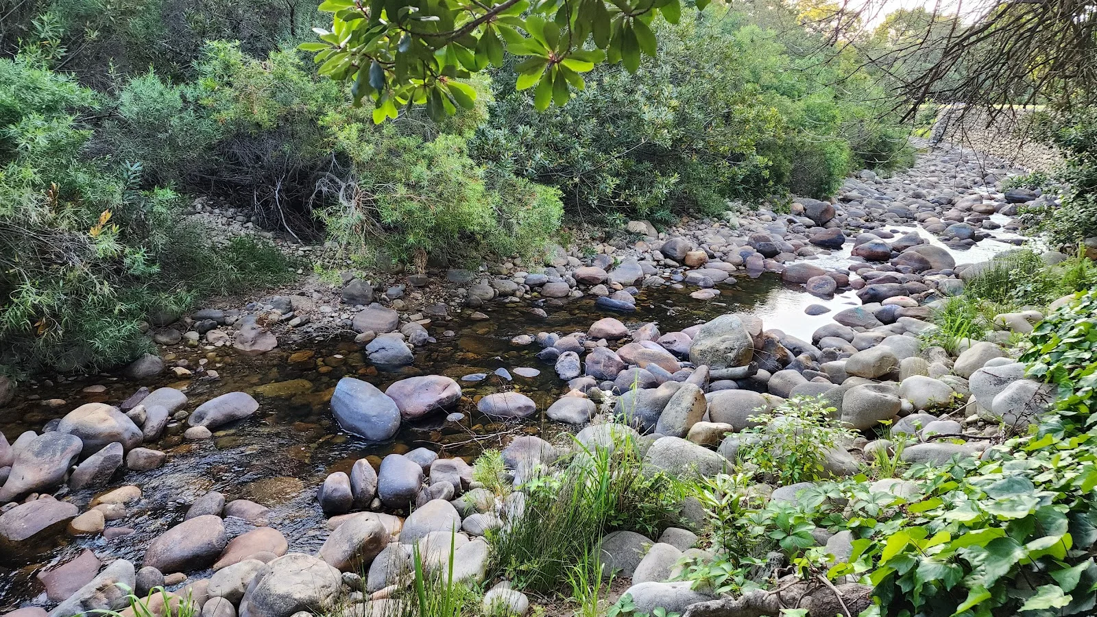 Brümmer Park — kid-friendly venue in Stellenbosch